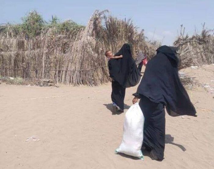 تقرير رسمي: نزوح أكثر من 2400 شخص من إب خلال 2023
