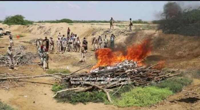 العسكرية الخامسة تتلف طنا ونصف حشيش مخدر تم ضبطها مع مهربين حوثيين
