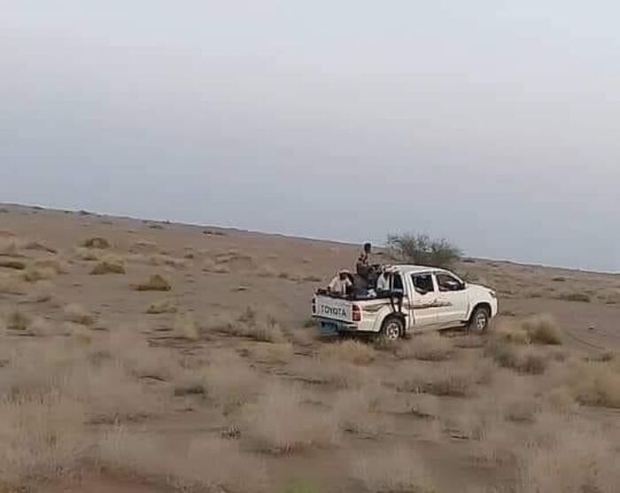 حملة سطو جديدة للحوثيين على أراضي المواطنين جنوبي الحديدة
