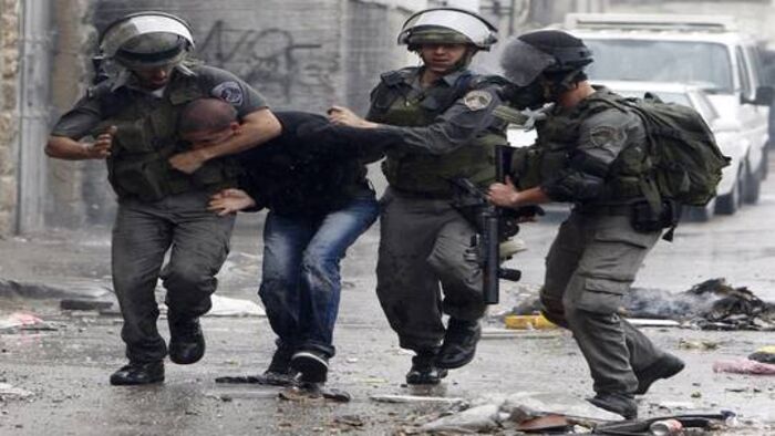 الجيش الإسرائيلي يعتقل 55 فلسطينيا في الضفة الغربية