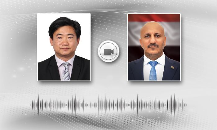 طارق صالح والسفير الصيني يناقشان جهود السلام في اليمن وتطورات الوضع في البحر الأحمر