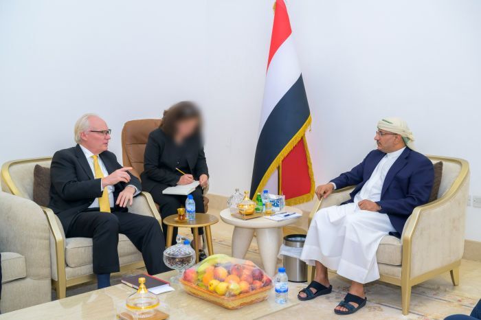 طارق صالح وليندركينج يبحثان الوضع في اليمن وجهود مواجهة "إرهاب الحوثي"