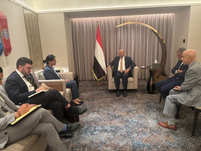 طارق صالح والسفيرة البريطانية يبحثان تعزيز التعاون بين اليمن والمملكة المتحدة