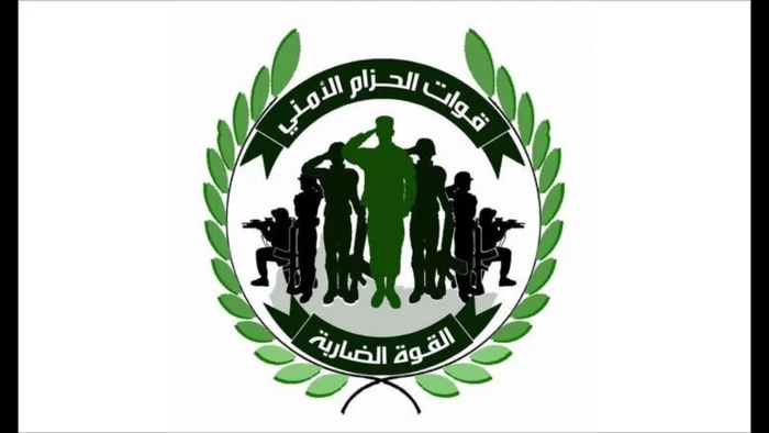 مقاومة الجنوب تزحف نحو "ماوية".. تعرّف على التفاصيل و "القوات المشاركة"