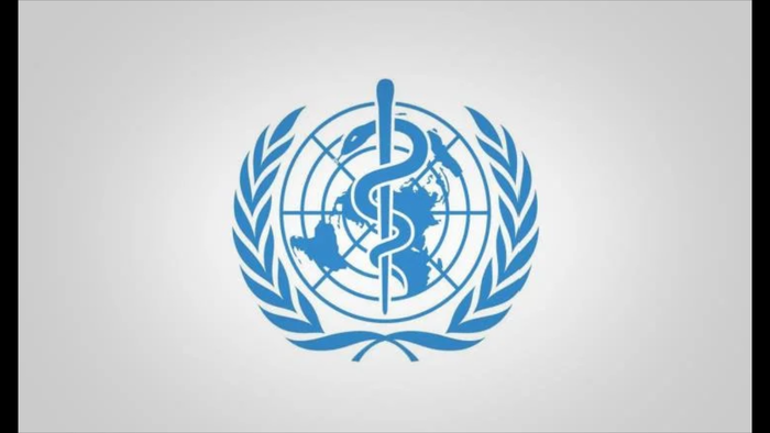 فضيحة الإيطالي الأممي في #اليمن ... ثم ماذا؟