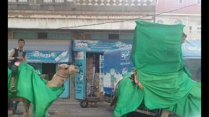 المياحي يكتب | عندما يحتفل الحوثيون بالمولد النبوي بمال حرام