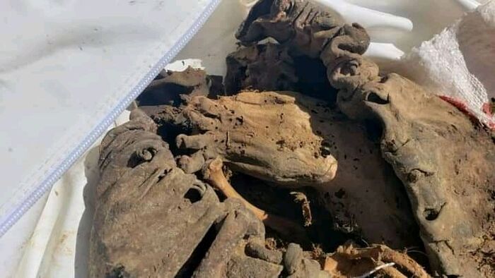 عمرها 20 قرناً.. العثور على مومياء في مقلب قمامة بصنعاء "صور"