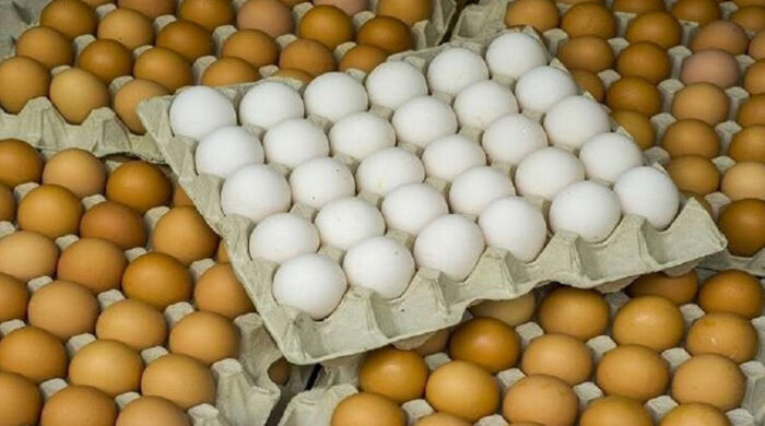 مليشيا الحوثي تمنع تصدير البيض إلى المناطق المحررة