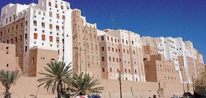 حضرموت.. شاب يقتل اثنين من أقاربه عمدًا والشرطة تلقي القبض عليه