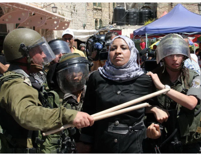 القضية الفلسطينية وحصان طروادة !